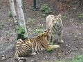 zoo 147